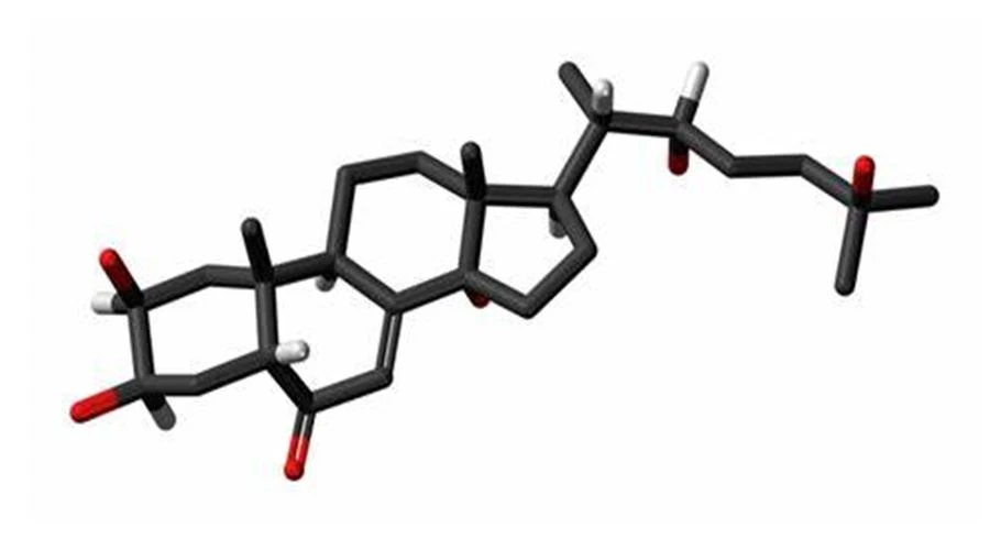 Ecdysterone Uso e dosagem interpretação do pó de Ecdysterona