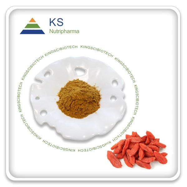 Extrato de Goji Berry em pó