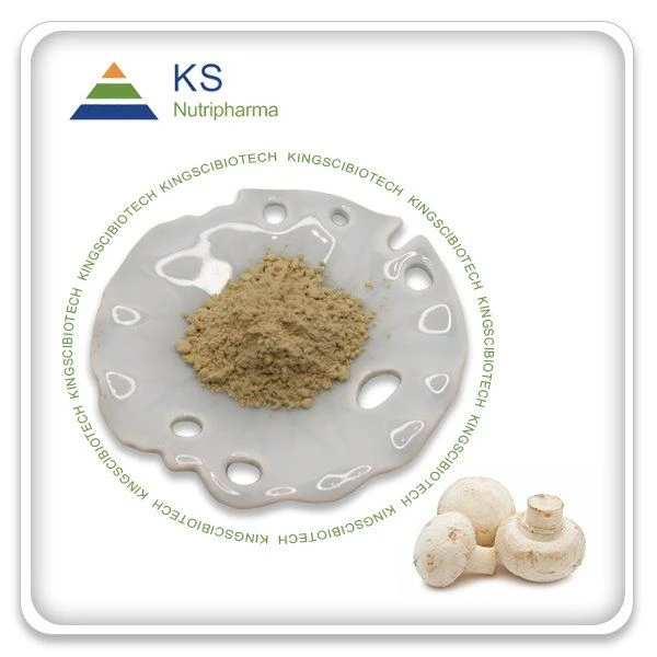 Agaricus bisporus cogumelo extrato