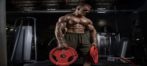 Ecdysterone é bom para musculação?
