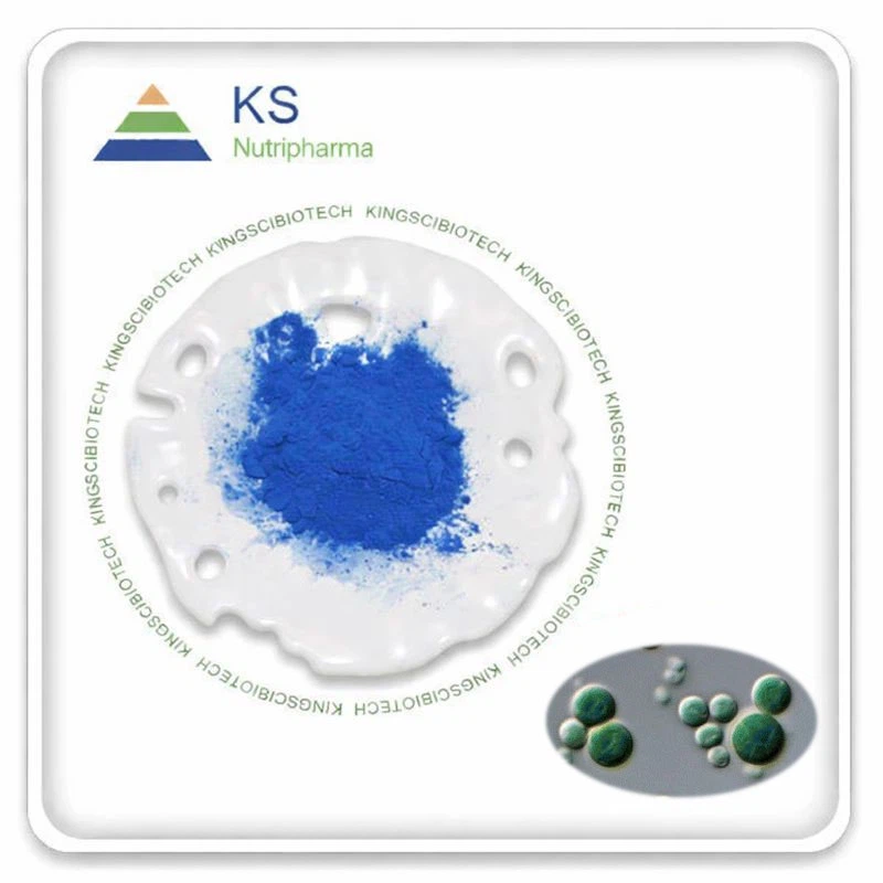 Extrato de Galdiéria