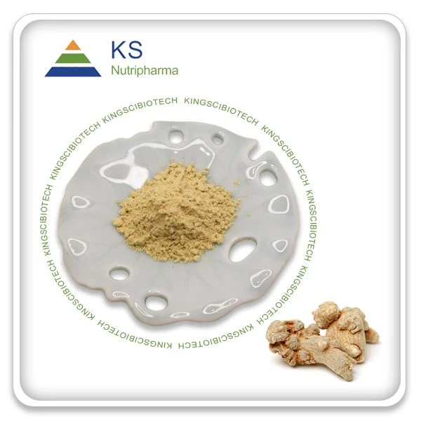 product-600-600